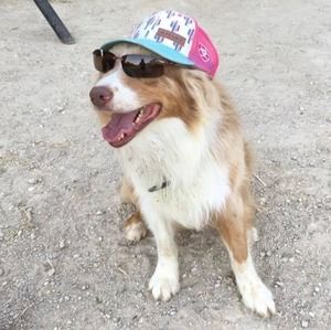 Meet your Posher, Laura